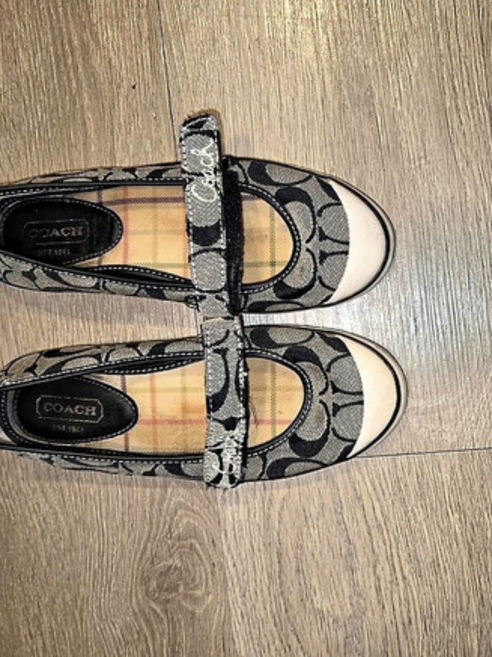 Coach Brown & Black Flats